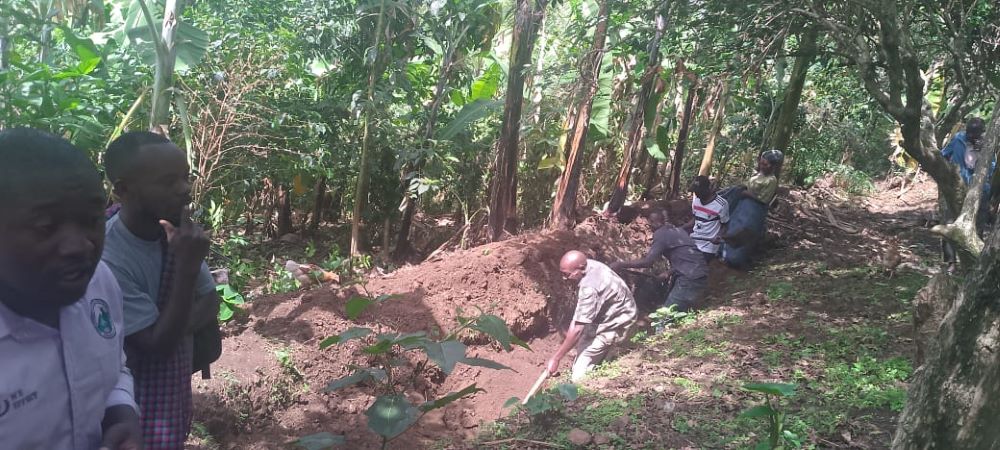 WATER AND SOIL CONSERVATION PROGRAM TO IMPROVE ON SOIL MANAGEMENT PRACTICES-ISEBWE FARMERS SACCO